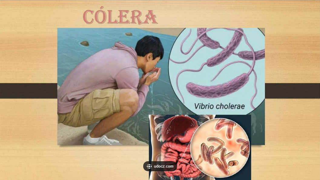 COLERA