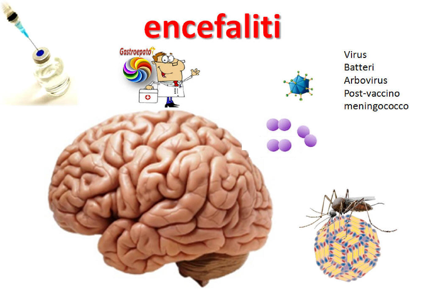 encefaliti virus batteri post vaccinica